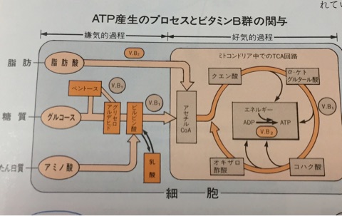 {4ACD5663-0338-4156-8A9A-B45B0237768A}