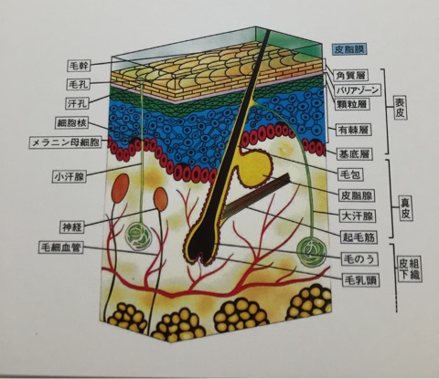 {5A8FE8BD-A3D4-4E6E-B17D-4EBE80EA0CD6}