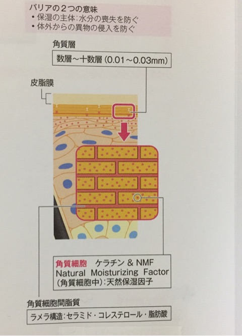 {CC4BD49C-63C5-4672-85DC-B23684E1B60C}