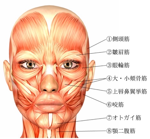 {93D73AC5-30D0-4E8A-A439-D469AB57AC27}