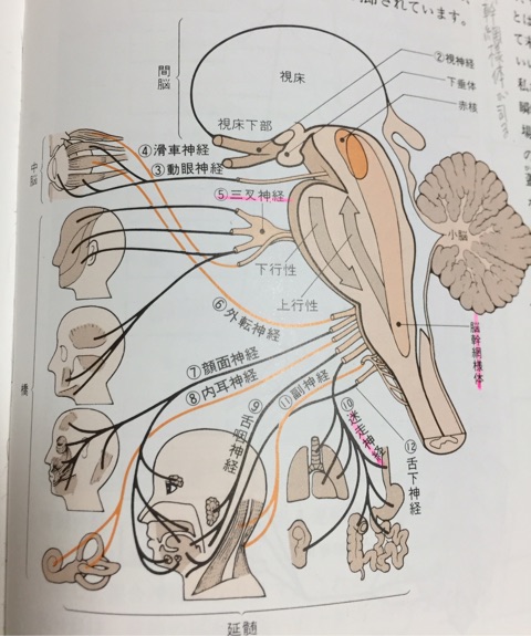 {262B23AA-D438-4931-8AC2-5797FFED338D}