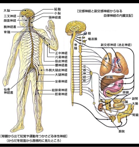 {978D451B-C1F9-4153-A4D9-F016C416123F}